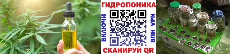 Canna-Cookies марихуана  Белокуриха 