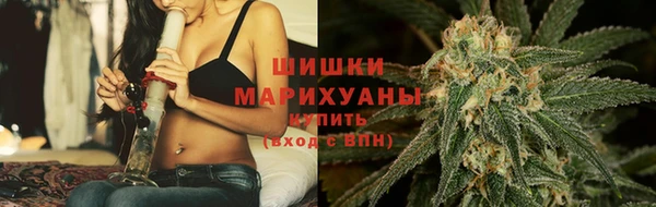 крисы Аркадак