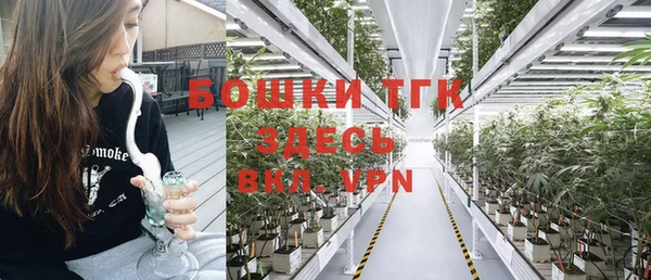 крисы Аркадак