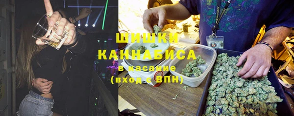 крисы Аркадак