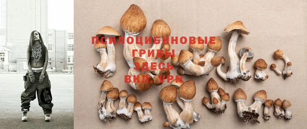 крисы Аркадак