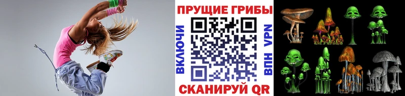 Псилоцибиновые грибы мицелий  Белокуриха 